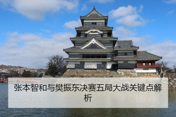 张本智和与樊振东决赛五局大战关键点解析